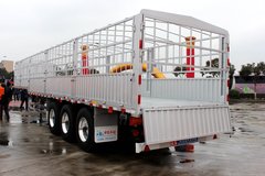 �����ǰ�ҳ� �м�����ר�������ܷḻ