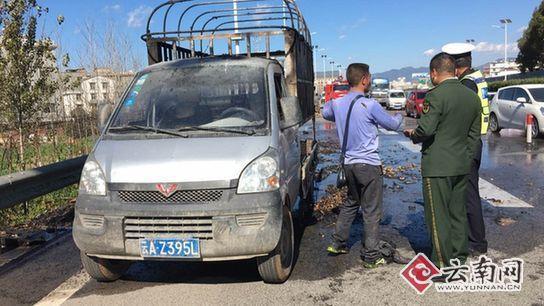 ������ͷ��ȼ����&nbsp;������ֻС���俾��