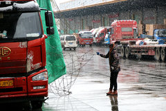 ����˾��������(31):��Щ�������Ļѻ�