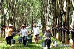 ��Ȼ����ҵ���۸���� ��ȫ�߼ʽ�ǿ