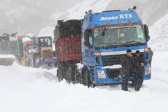 ����˾��������(33)����˾���Ĵ��ڸ���