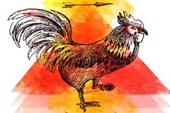 ��ɵ����ű��ã�����ף����Ϊ�������