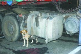 有啥不被偷 “一个不知名卡友”的经历