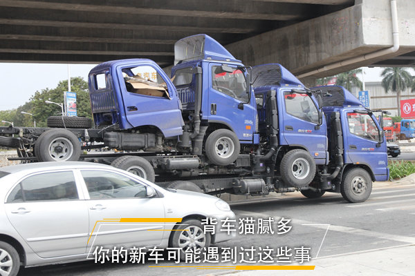 ����è���&nbsp;����³�������������Щ��