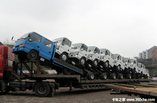 ����è���&nbsp;����³�������������Щ��