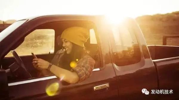 Ƥ���𽥷ſ�����������Ƥ���ķ���ʷ