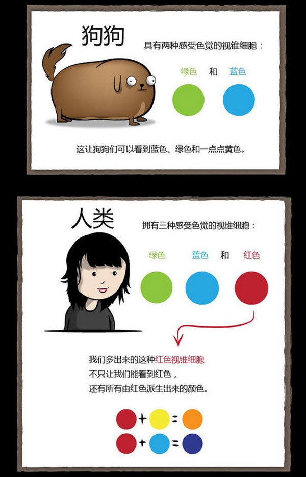叫板老司机 这么厉害的皮皮虾你拉过吗?