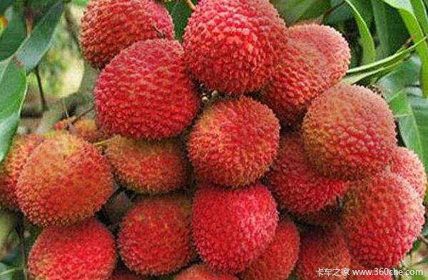 �⼸�������Բ���&nbsp;С�ĳ��걻ץ�۷֣�