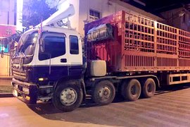 雷锋精神辐射东南亚！香蕉跨国运输见闻