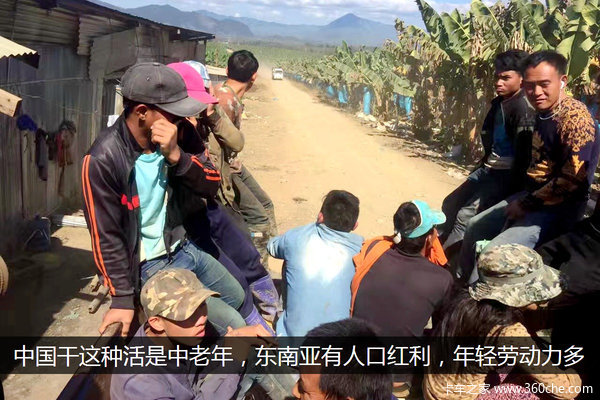 雷锋精神辐射东南亚!香蕉跨国运输见闻