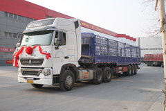 �����߽����� ̽�ð������񳵵�����