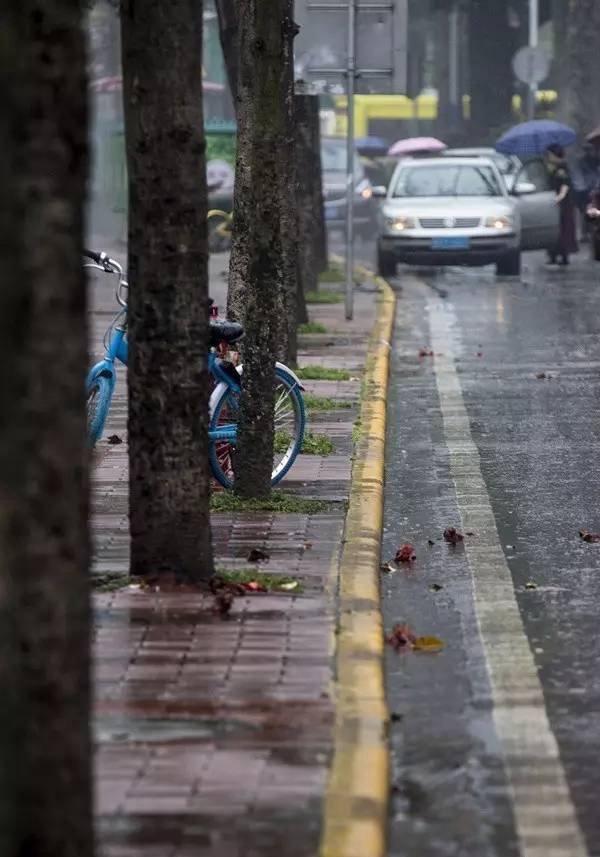 广州遇这黄线别停车临时都不行 否则罚200扣3分