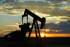 �ͼ۽������� ֪�����˶�ѡ���������