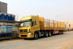 ��Ҳ�е������ӣ� ������˵��׼��׼