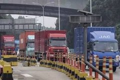 ����Ѿ��ɳ����ռ��ִ�� ʡ��ίŭ����ί