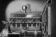 ѧ���⼸�� ��Ҳ���·��������¿�����