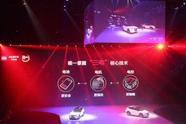 绿色出行梦 比亚迪新能源的康庄大道