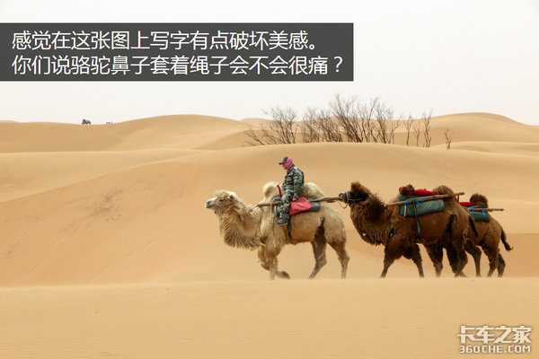 �����Ӷ��ǳ�&nbsp;ѧ������������Σ��£�