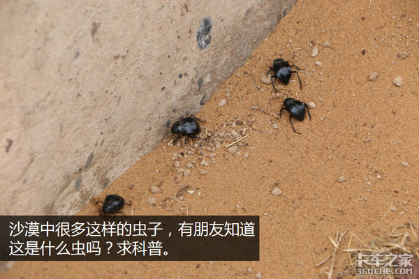 �����Ӷ��ǳ�&nbsp;ѧ������������Σ��£�