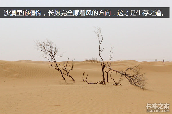 �����Ӷ��ǳ�&nbsp;ѧ������������Σ��£�