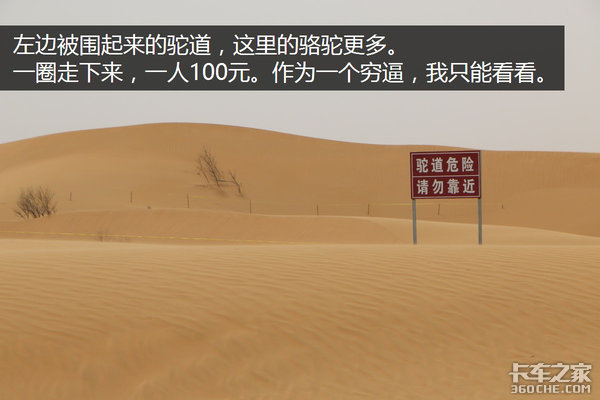 �����Ӷ��ǳ�&nbsp;ѧ������������Σ��£�