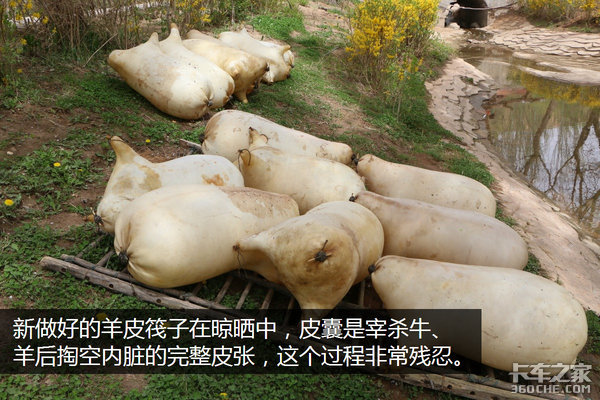 �����Ӷ��ǳ�&nbsp;ѧ������������Σ��£�