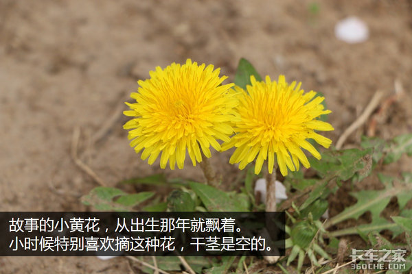 �����Ӷ��ǳ�&nbsp;ѧ������������Σ��£�