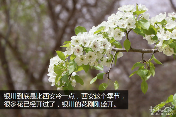 �����Ӷ��ǳ�&nbsp;ѧ������������Σ��£�