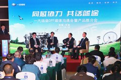 �������Ȳ���DPF  ���ж���������