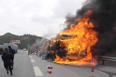 �������ų����������� �������ĳ�����