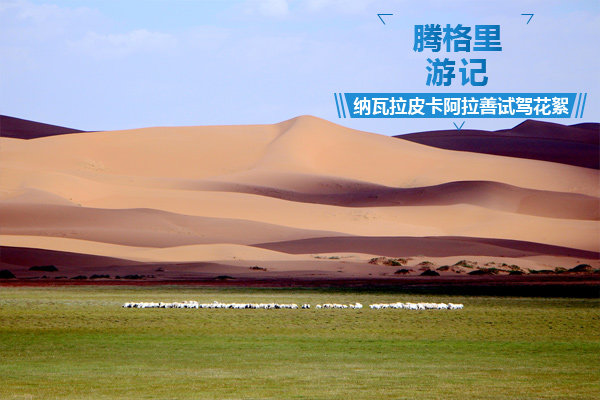 �ڸ����μǣ�������Ƥ���������Լݻ���