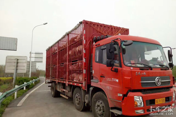 8��δ����̷����&nbsp;�䵱��������Ķ�����