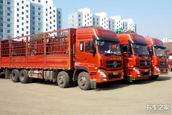 ��˵����ɲ��ס��&nbsp;Ϊ����ɽ·�İ�����?