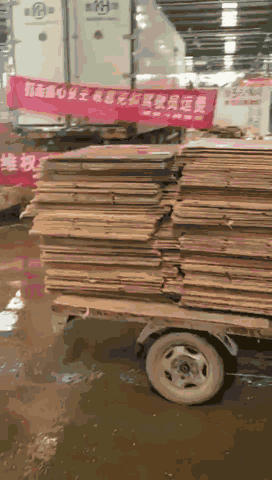 ����������Ƕ����������ɿ�Ǯ������