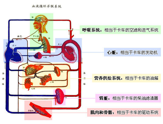 卡车的“肾脏” 柴油滤清器重要性简介