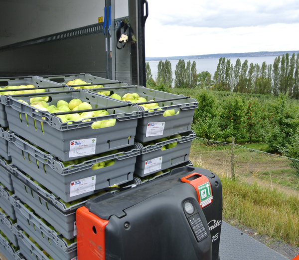 ����ѷȫ�Զ��������ڳ���������������