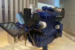 �����ڣ���Ȼ��������ר�����