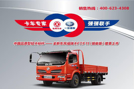 强强联手 打造国货精品--全新东风福瑞卡F7/F11