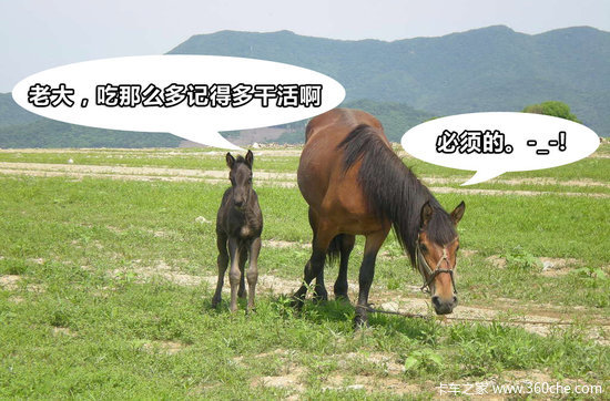 �ܾ�רҵ&nbsp;��̸����Ť�����������ǹ�ϵ