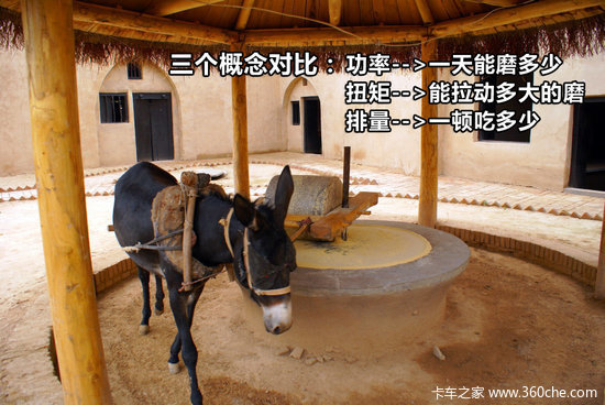 �ܾ�רҵ&nbsp;��̸����Ť�����������ǹ�ϵ