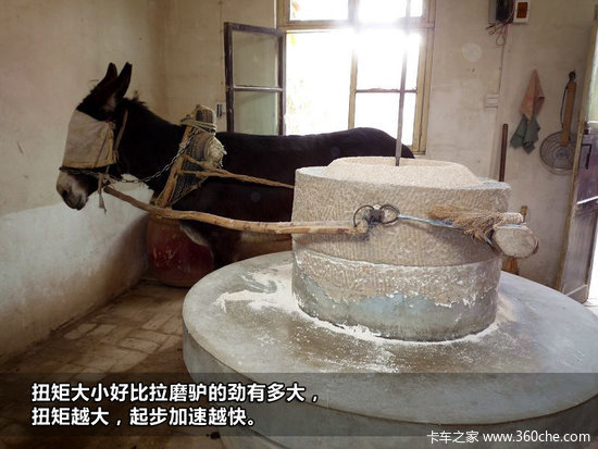 �ܾ�רҵ&nbsp;��̸����Ť�����������ǹ�ϵ