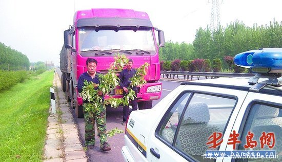 ����·��ͣ��ժ������&nbsp;������˾������