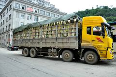 ����˾��������(52) ���ͻ�ȥ�����Ϻ�