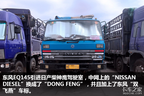 走南闯北十五年 如今天龙见到它都得叫“大爷”