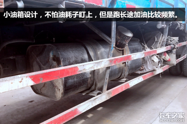 走南闯北十五年 如今天龙见到它都得叫“大爷”