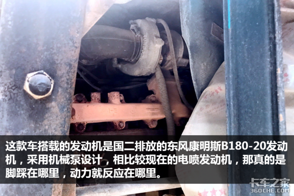 走南闯北十五年 如今天龙见到它都得叫“大爷”