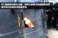 走过南闯过北 天龙见它都得叫“大爷”