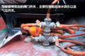 走过南闯过北 天龙见它都得叫“大爷”