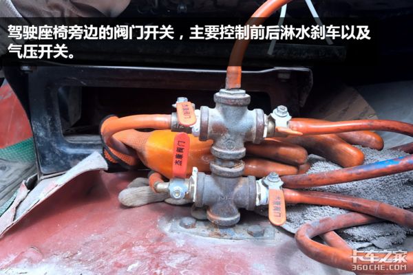 走南闯北十五年 如今天龙见到它都得叫“大爷”