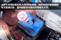 走过南闯过北 天龙见它都得叫“大爷”